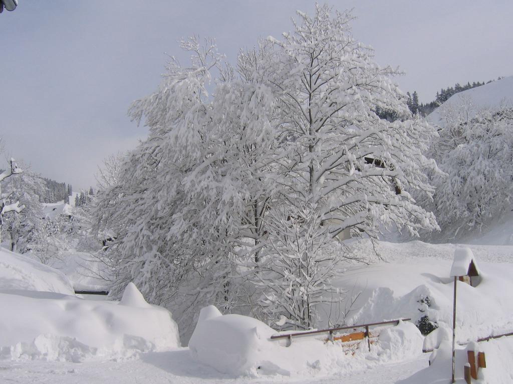 Appealing Apartment In Todtnau Baden-Wurttemberg With Free Wifi Todtnauberg Buitenkant foto