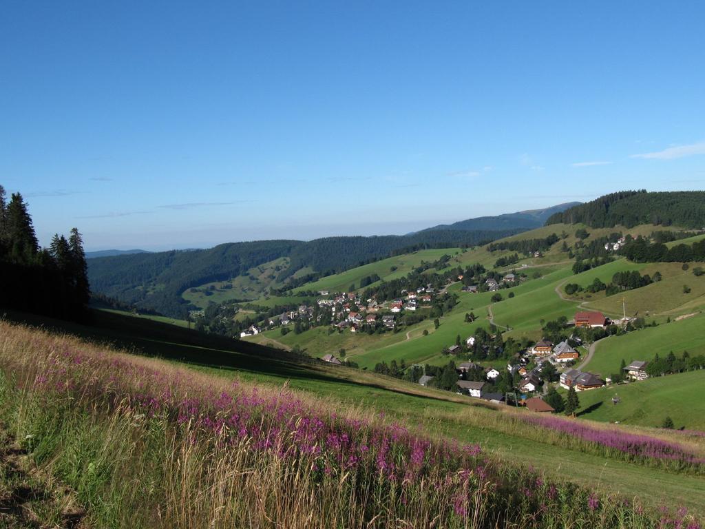 Appealing Apartment In Todtnau Baden-Wurttemberg With Free Wifi Todtnauberg Buitenkant foto