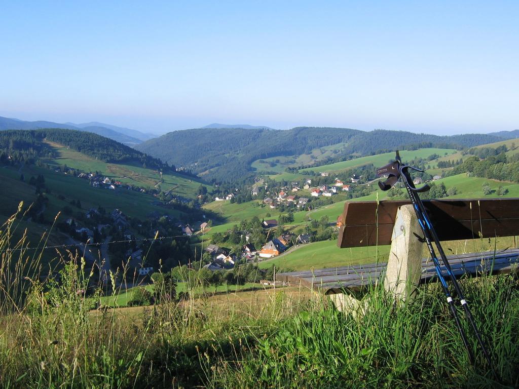 Appealing Apartment In Todtnau Baden-Wurttemberg With Free Wifi Todtnauberg Buitenkant foto