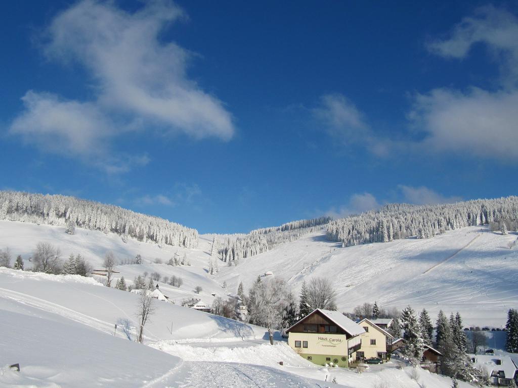 Appealing Apartment In Todtnau Baden-Wurttemberg With Free Wifi Todtnauberg Buitenkant foto