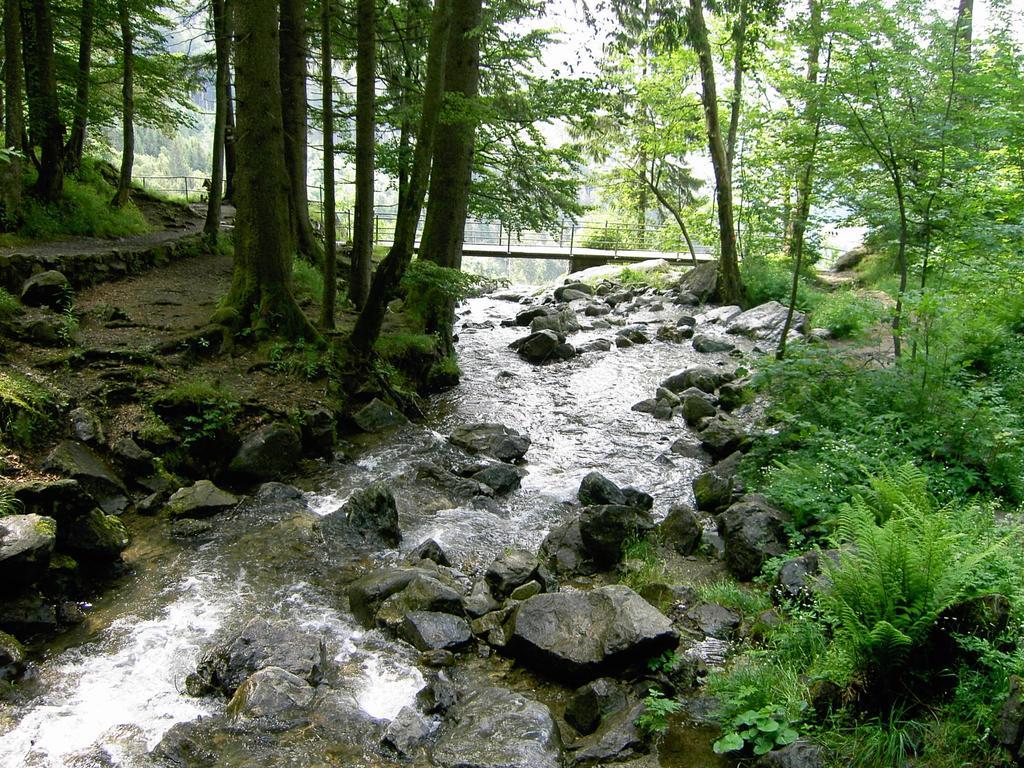 Appealing Apartment In Todtnau Baden-Wurttemberg With Free Wifi Todtnauberg Buitenkant foto